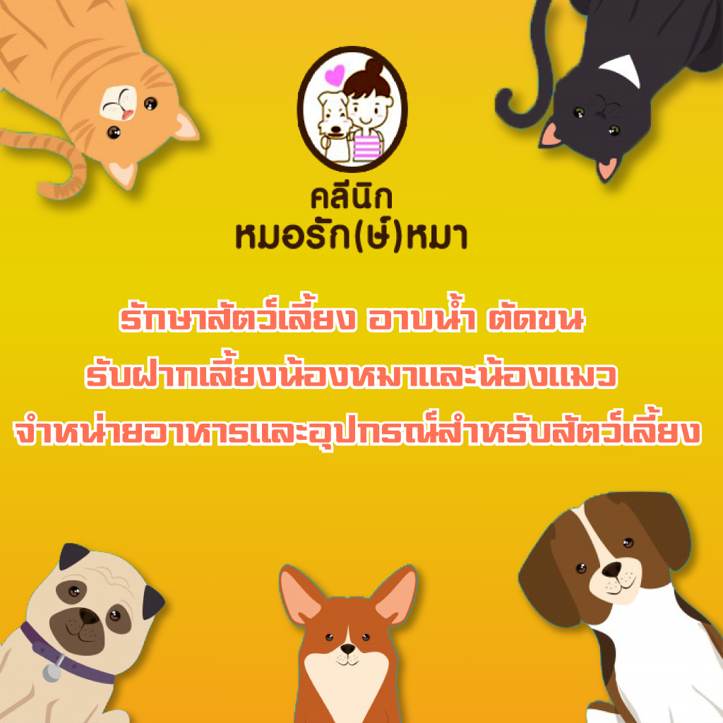 ร บอาบน ำส ตว นครสวรรค ร บต ดขนส ตว นครสวรรค ร บฝากเล ยง